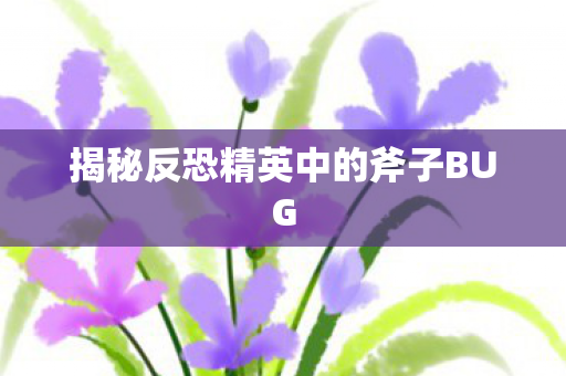 揭秘反恐精英中的斧子BUG