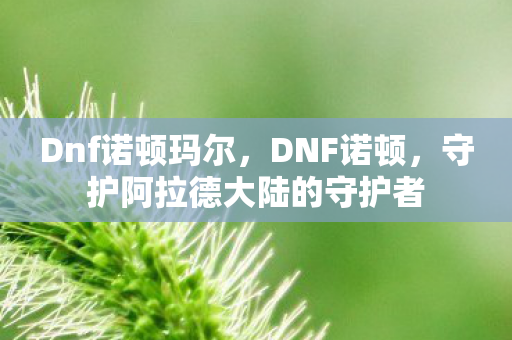 Dnf诺顿玛尔，DNF诺顿，守护阿拉德大陆的守护者