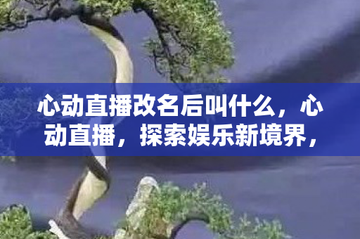 心动直播改名后叫什么，心动直播，探索娱乐新境界，引领直播新风尚
