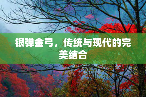 银弹金弓，传统与现代的完美结合