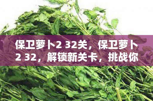 保卫萝卜2 32关,保卫萝卜2 32,解锁新关卡,挑战你的策略极限 保卫萝卜2 32关,保卫萝卜2 32,解锁新关卡,挑战你的策略极限