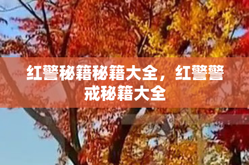 红警秘籍秘籍大全，红警警戒秘籍大全