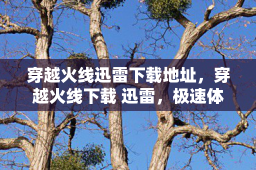 穿越火线迅雷下载地址，穿越火线下载 迅雷，极速体验，畅享游戏乐趣