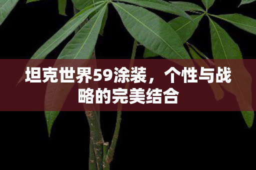 坦克世界59涂装，个性与战略的完美结合