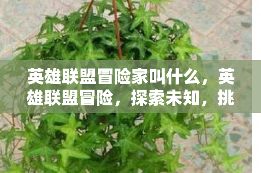 英雄联盟冒险家叫什么，英雄联盟冒险，探索未知，挑战极限