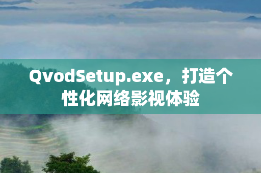 QvodSetup.exe，打造个性化网络影视体验