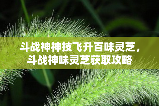 斗战神神技飞升百味灵芝，斗战神味灵芝获取攻略