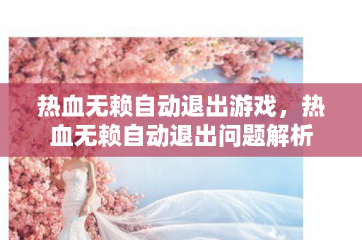 热血无赖自动退出游戏，热血无赖自动退出问题解析