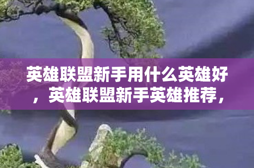 英雄联盟新手用什么英雄好，英雄联盟新手英雄推荐，简单易上手，助你快速入门