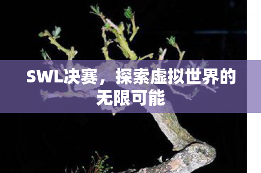 SWL决赛，探索虚拟世界的无限可能