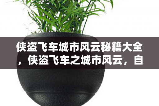 侠盗飞车城市风云秘籍大全，侠盗飞车之城市风云，自由与正义的边界