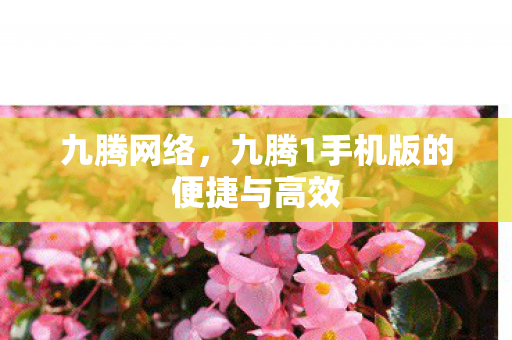 九腾网络，九腾1手机版的便捷与高效