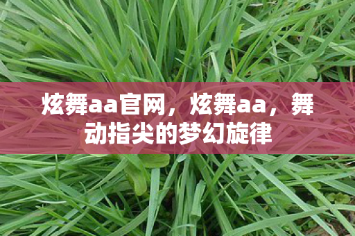 炫舞aa官网，炫舞aa，舞动指尖的梦幻旋律