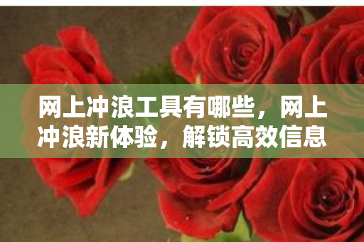 网上冲浪工具有哪些，网上冲浪新体验，解锁高效信息获取与创意表达的秘诀