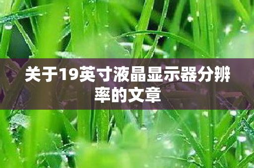 关于19英寸液晶显示器分辨率的文章