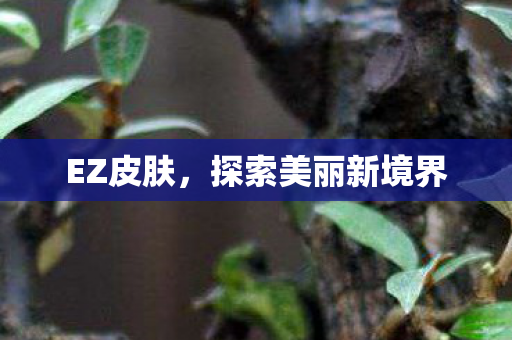 EZ皮肤，探索美丽新境界