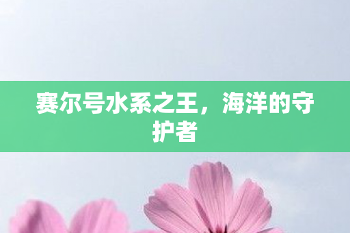 赛尔号水系之王,海洋的守护者 赛尔号水系之王,海洋的守护者