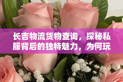 长吉物流货物查询，探秘私服背后的独特魅力，为何玩家趋之若鹜？