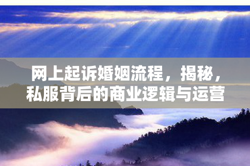 网上起诉婚姻流程，揭秘，私服背后的商业逻辑与运营策略