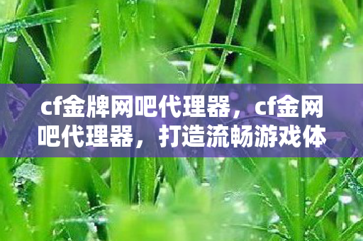 cf金牌网吧代理器，cf金网吧代理器，打造流畅游戏体验的利器