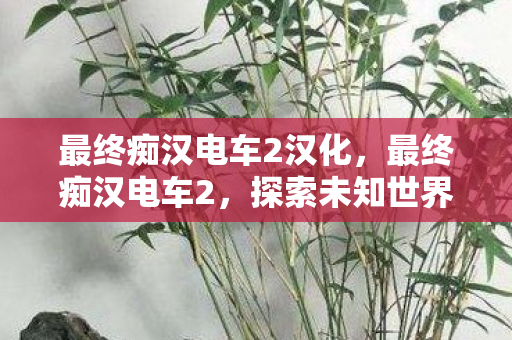 最终痴汉电车2汉化，最终痴汉电车2，探索未知世界的奇妙之旅