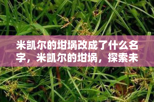 米凯尔的坩埚改成了什么名字，米凯尔的坩埚，探索未知世界的神秘工具