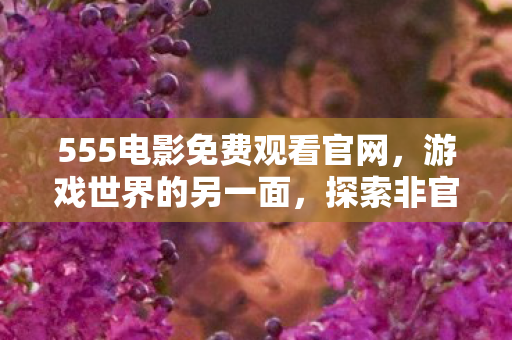 555电影免费观看官网，游戏世界的另一面，探索非官方服务器的独特魅力