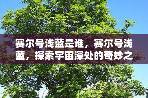 赛尔号浅蓝是谁，赛尔号浅蓝，探索宇宙深处的奇妙之旅