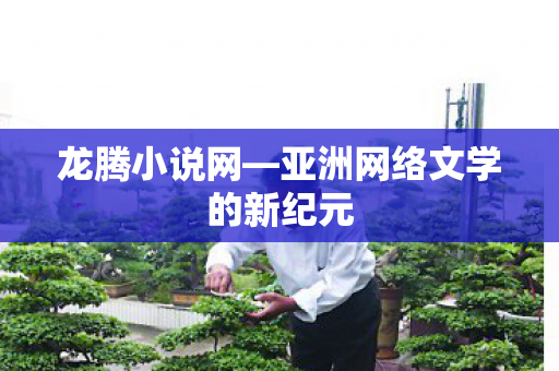 龙腾小说网—亚洲网络文学的新纪元