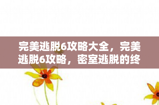 完美逃脱6攻略大全，完美逃脱6攻略，密室逃脱的终极挑战