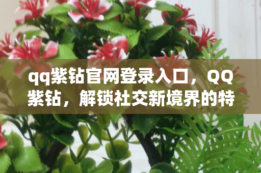 qq紫钻官网登录入口，QQ紫钻，解锁社交新境界的特权标志