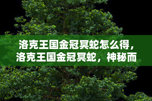 洛克王国金冠冥蛇怎么得，洛克王国金冠冥蛇，神秘而强大的宠物解析