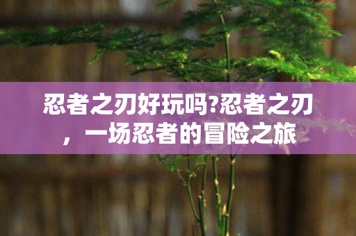 忍者之刃好玩吗?忍者之刃，一场忍者的冒险之旅