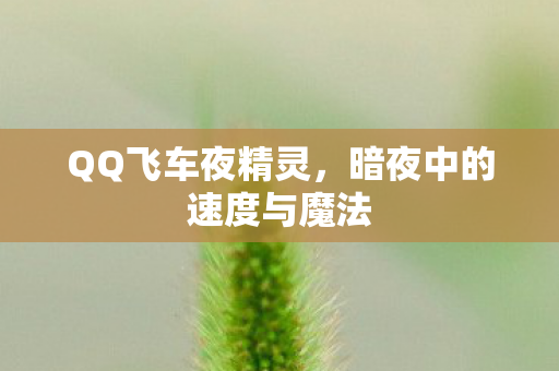QQ飞车夜精灵，暗夜中的速度与魔法