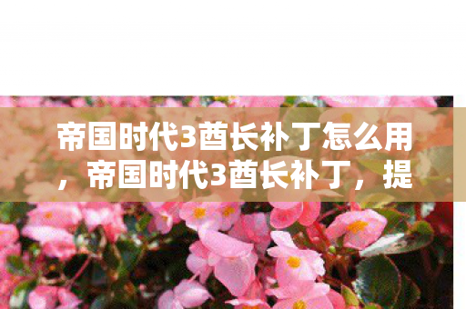 帝国时代3酋长补丁怎么用，帝国时代3酋长补丁，提升游戏体验的必备神器