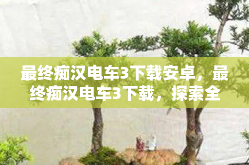 最终痴汉电车3下载安卓，最终痴汉电车3下载，探索全新游戏体验的便捷途径