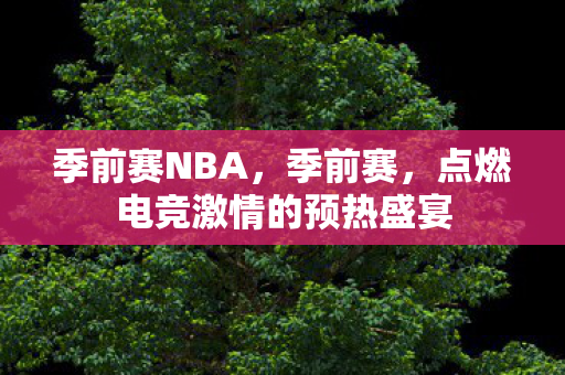 季前赛NBA，季前赛，点燃电竞激情的预热盛宴