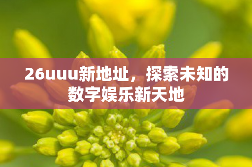 26uuu新地址，探索未知的数字娱乐新天地
