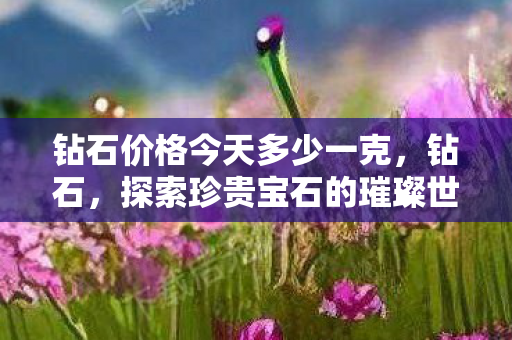 钻石价格今天多少一克，钻石，探索珍贵宝石的璀璨世界