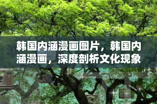 韩国内涵漫画图片，韩国内涵漫画，深度剖析文化现象与创作背后的故事