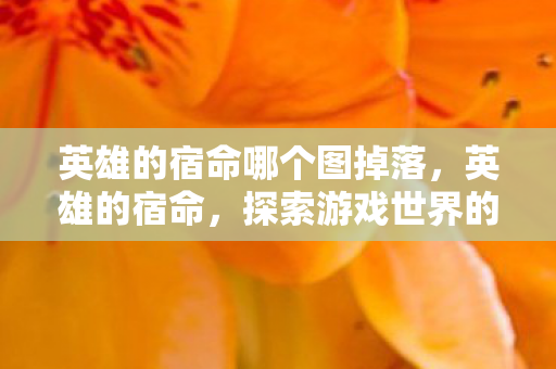 英雄的宿命哪个图掉落，英雄的宿命，探索游戏世界的无尽传奇