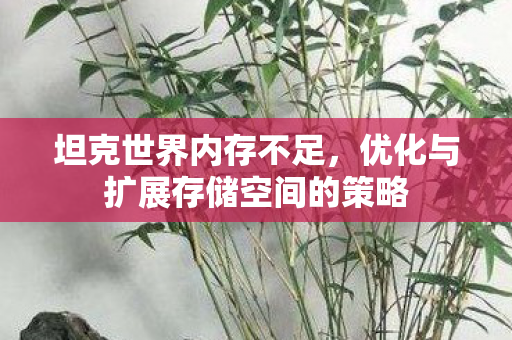 坦克世界内存不足，优化与扩展存储空间的策略