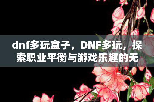 dnf多玩盒子，DNF多玩，探索职业平衡与游戏乐趣的无限可能