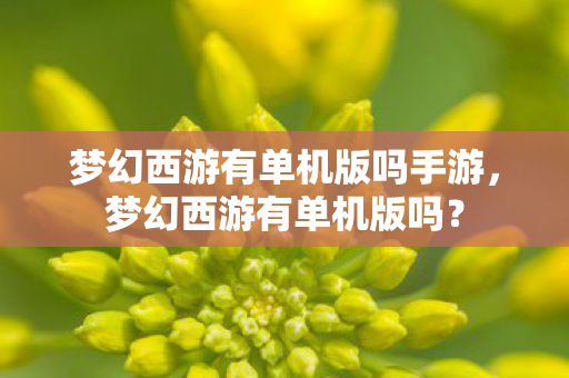 梦幻西游有单机版吗手游，梦幻西游有单机版吗？