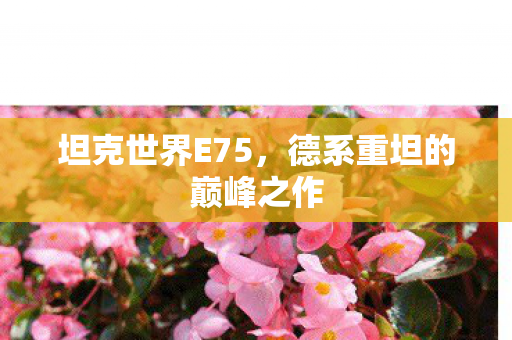 坦克世界E75，德系重坦的巅峰之作