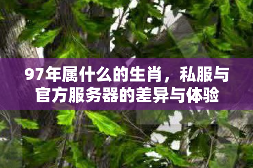 97年属什么的生肖，私服与官方服务器的差异与体验