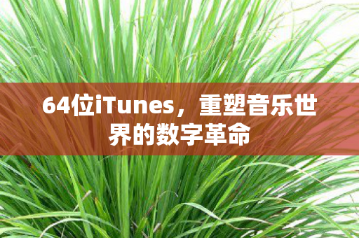 64位iTunes，重塑音乐世界的数字革命