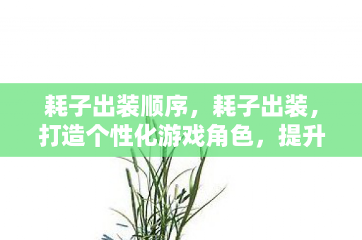 耗子出装顺序，耗子出装，打造个性化游戏角色，提升战斗力的秘密武器
