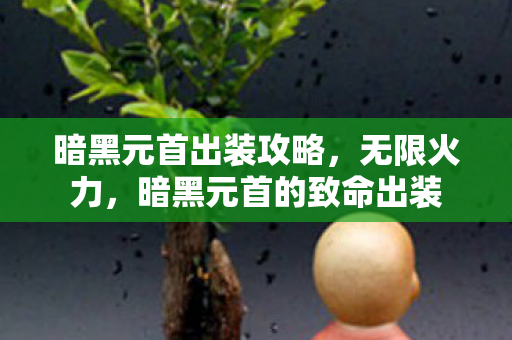 暗黑元首出装攻略，无限火力，暗黑元首的致命出装