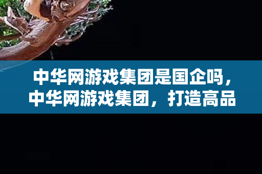 中华网游戏集团是国企吗，中华网游戏集团，打造高品质游戏体验，引领行业新风尚